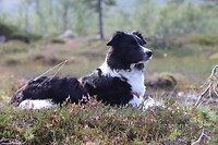 IMG-20220814-WA0006