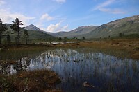 IMG-20220814-WA0004