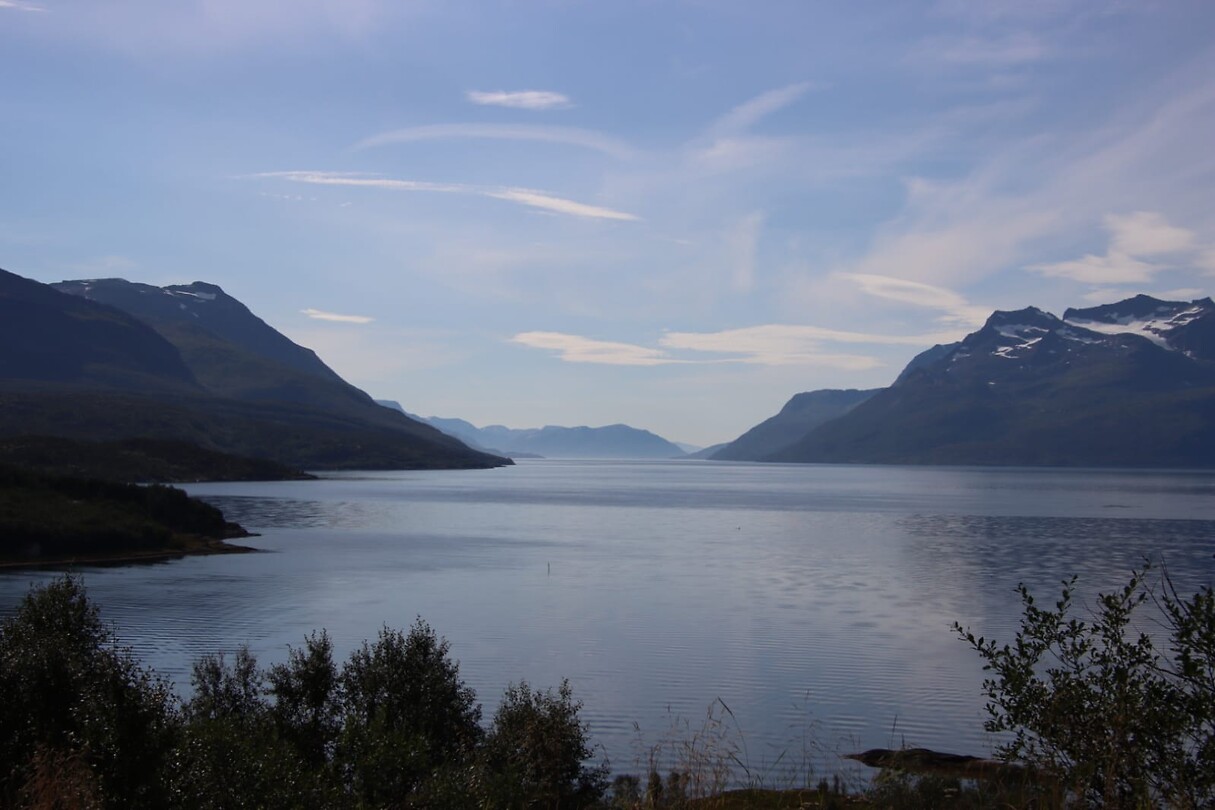 IMG-20220816-WA0026