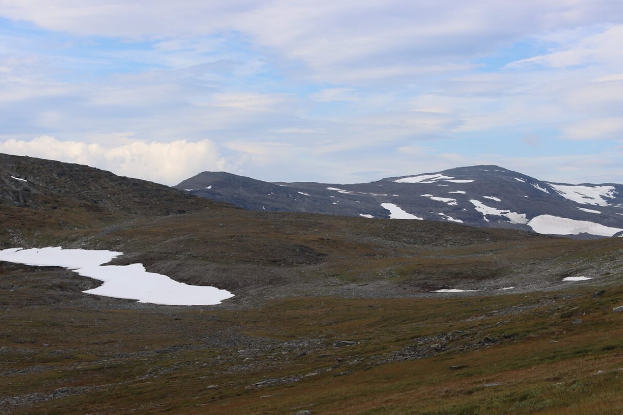 IMG-20220816-WA0016