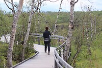 IMG-20220816-WA0006
