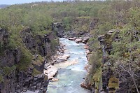 IMG-20220816-WA0007