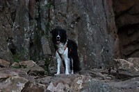 IMG-20220818-WA0030