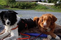 IMG-20220821-WA0015