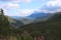 IMG-20220822-WA0015