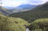 IMG-20220822-WA0012