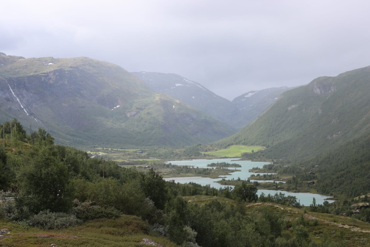 IMG-20220822-WA0011