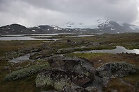 IMG-20220822-WA0026