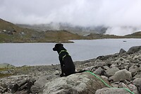 IMG-20220822-WA0025