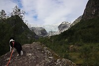 IMG-20220823-WA0017