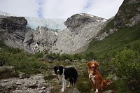 IMG-20220823-WA0014