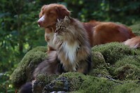 IMG-20220823-WA0000