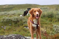 IMG-20220824-WA0036