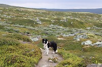 IMG-20220824-WA0029
