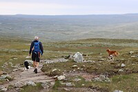 IMG-20220824-WA0025