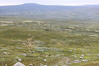IMG-20220824-WA0027