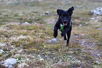IMG-20220824-WA0024