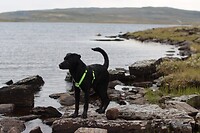 IMG-20220824-WA0019