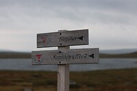 IMG-20220824-WA0017