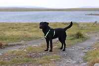 IMG-20220824-WA0018