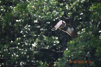 DSC_0507_1