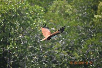 DSC_0488_1