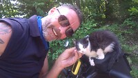 Weer een poes aan de kant van de weg ... Zucht