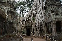 Ta Prohm