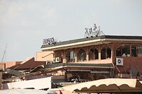 IMG_5106