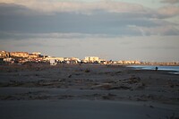 IMG_5629