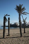 IMG_5667