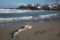 IMG_5689