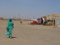 DSCN0252