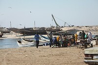 IMG_6142