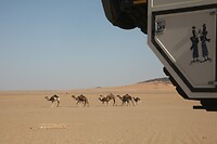 IMG_6270
