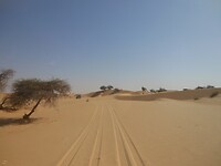 DSCN0439