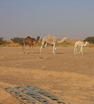 DSCN0470