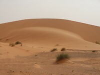 DSCN0485