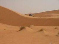 DSCN0494