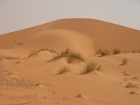 DSCN0498
