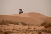 IMG_6422