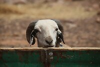 IMG_6473