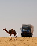 _MG_9154-Edit-Edit