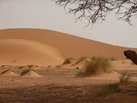 DSCN0502