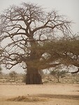 DSCN0794