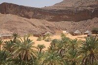 IMG_6490