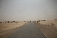IMG_6505