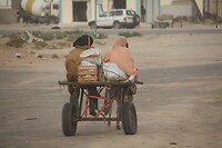 IMG_6511