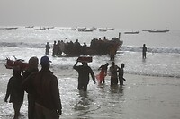 IMG_6532