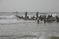 IMG_6538